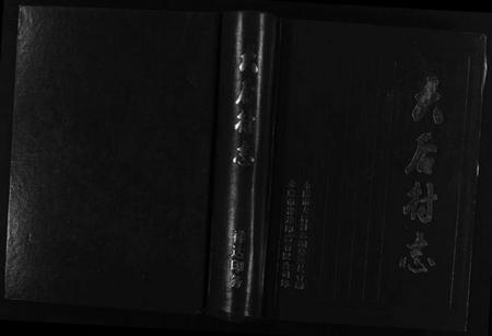 浙江多姓氏族谱-[胡氏]大后村志 [2篇].pdf电子版插图1