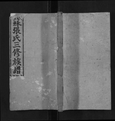 湖南苏张氏族谱-苏张氏三修族谱[4卷,首3卷].pdf电子版