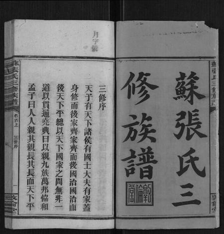 湖南苏张氏族谱-苏张氏三修族谱[4卷,首3卷].pdf电子版插图2