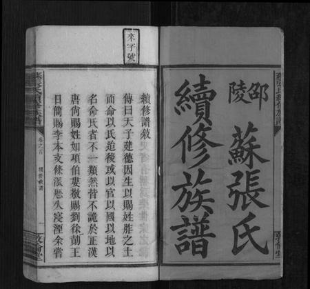 湖南苏张氏族谱-苏张氏续修族谱[3卷,首2卷,末1卷].pdf电子版插图2