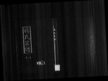 浙江杨氏族谱-胪膛杨氏宗谱 [3卷].pdf电子版插图1