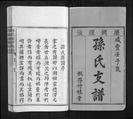 湖南孙氏族谱-孙氏续修支谱[5卷首1卷].pdf电子版插图1