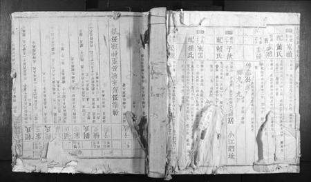 江西蓝氏族谱-信丰蓝氏七修族谱.pdf电子版