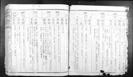 江西蓝氏族谱-信丰蓝氏七修族谱.pdf电子版插图2