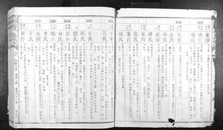 江西蓝氏族谱-信丰蓝氏七修族谱.pdf电子版插图3