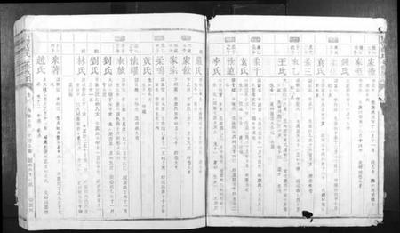 江西蓝氏族谱-信丰蓝氏七修族谱.pdf电子版插图4