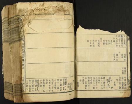 江西蓝氏族谱-蓝氏五届联修族谱.pdf电子版插图1 江西蓝氏族谱-蓝氏五届联修族谱.pdf电子版插图1