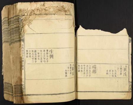 江西蓝氏族谱-蓝氏五届联修族谱.pdf电子版插图3 江西蓝氏族谱-蓝氏五届联修族谱.pdf电子版插图3