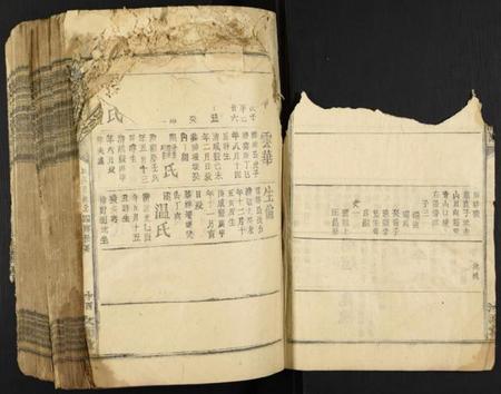 江西蓝氏族谱-蓝氏五届联修族谱.pdf电子版插图5 江西蓝氏族谱-蓝氏五届联修族谱.pdf电子版插图5