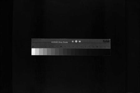 浙江赵氏族谱-花园赵氏宗谱 [不分卷].pdf电子版