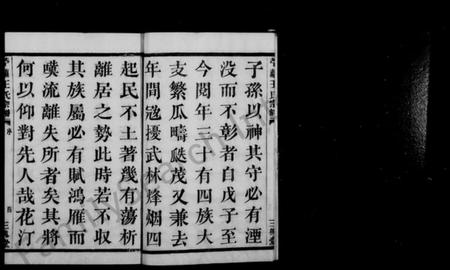 浙江王氏族谱-苎萝王氏宗谱 [44卷,首2卷].pdf电子版插图5