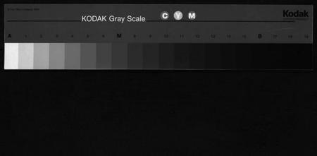 浙江周氏族谱-英山周氏宗谱 [10卷].pdf电子版