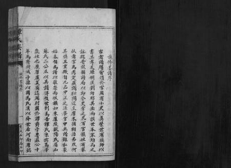 湖南谭氏族谱-谭氏族谱.pdf电子版插图1