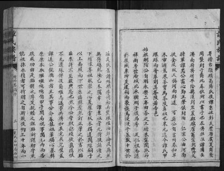 湖南谭氏族谱-谭氏族谱.pdf电子版插图3