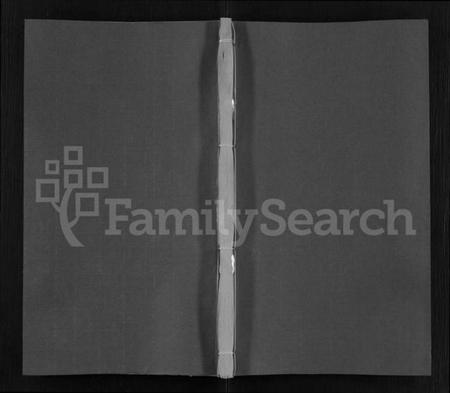 湖北骆氏族谱-骆氏九修宗谱 [90卷,首末各1卷].pdf电子版