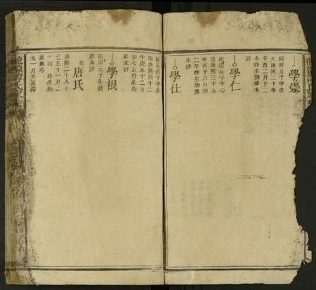 湖南谭氏族谱-龙源谭氏家乘 [不分卷].pdf电子版插图2