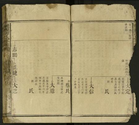 湖南谭氏族谱-龙源谭氏家乘 [不分卷].pdf电子版插图5