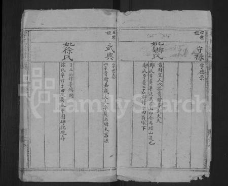 湖南谭氏族谱-谭氏宗谱 [残卷].pdf电子版插图3