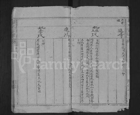 湖南谭氏族谱-谭氏宗谱 [残卷].pdf电子版插图4