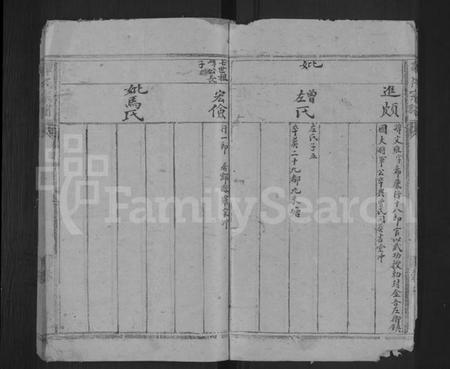 湖南谭氏族谱-谭氏宗谱 [残卷].pdf电子版插图5