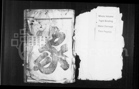 浙江施氏族谱-华峯施氏宗谱 [5卷].pdf电子版插图2