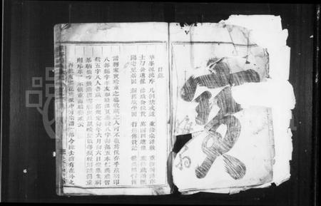 浙江施氏族谱-华峯施氏宗谱 [5卷].pdf电子版插图3