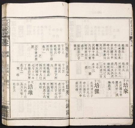 湖北江氏族谱-江氏宗谱.pdf电子版插图2 湖北江氏族谱-江氏宗谱.pdf电子版插图2