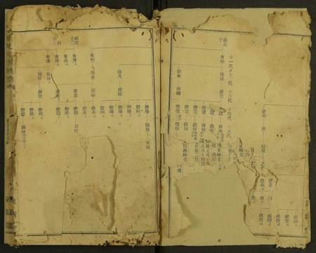 湖南汤氏族谱-汤氏八修族谱 [21卷及卷末].pdf电子版插图4