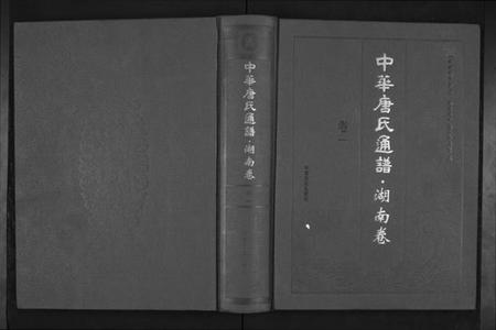 湖南唐氏族谱-中华唐氏通谱.湖南省卷[3卷].pdf电子版
