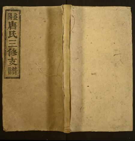 湖南唐氏族谱-唐氏三修支谱.pdf电子版插图 湖南唐氏族谱-唐氏三修支谱.pdf电子版插图