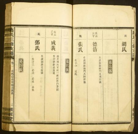 湖南唐氏族谱-唐氏三修支谱.pdf电子版插图2 湖南唐氏族谱-唐氏三修支谱.pdf电子版插图2