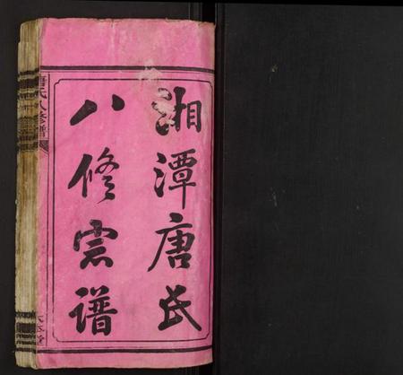 湖南唐氏族谱-唐氏八修谱.pdf电子版插图1