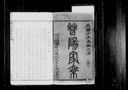 湖南唐氏族谱-唐氏四修族谱.pdf电子版插图2