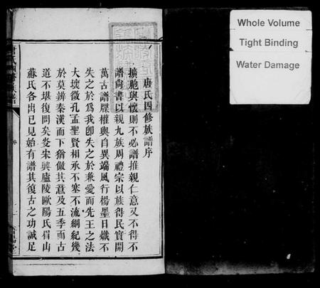 湖南唐氏族谱-唐氏四修族谱.pdf电子版插图3