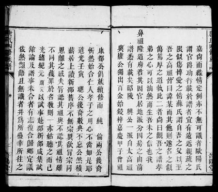 湖南唐氏族谱-唐氏四修族谱.pdf电子版插图4