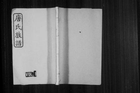 湖南唐氏族谱-唐氏族谱 [12卷,首末各1卷].pdf电子版插图1