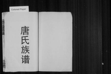 湖南唐氏族谱-唐氏族谱 [12卷,首末各1卷].pdf电子版插图2