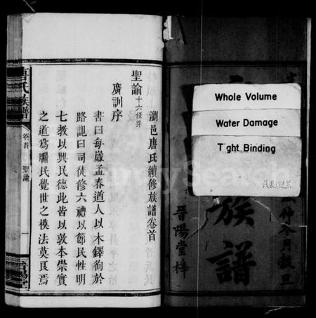 湖南唐氏族谱-唐氏族谱 [4卷,及卷首].pdf电子版插图3