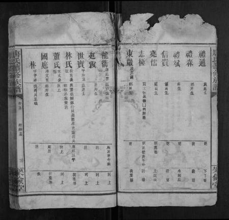 湖南唐氏族谱-唐氏续修族谱.pdf电子版插图3