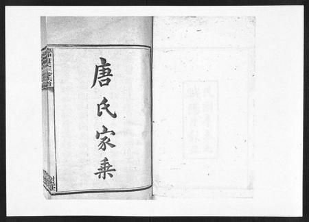 湖南唐氏族谱-德神唐氏三修族谱[8卷,首2卷].pdf电子版插图1