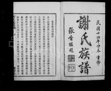 浙江谢氏族谱-盖东谢氏族谱.pdf电子版插图2