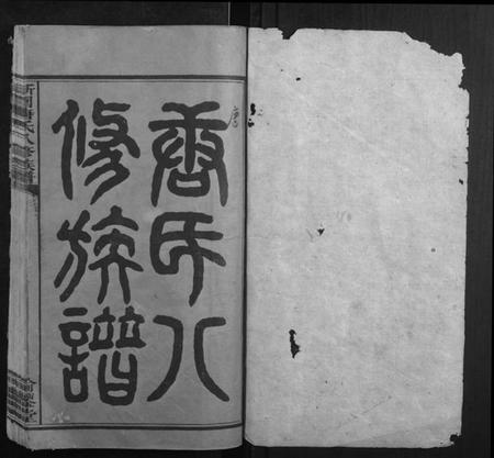 湖南唐氏族谱-新园唐氏八修族谱[26卷].pdf电子版插图1