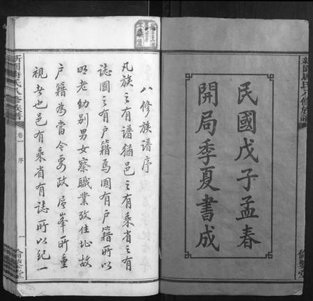 湖南唐氏族谱-新园唐氏八修族谱[26卷].pdf电子版插图2