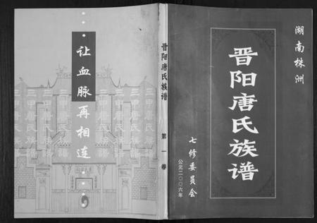 湖南唐氏族谱-晋阳唐氏族谱.pdf电子版