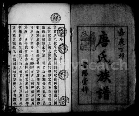 湖南唐氏族谱-晋阳唐氏重修族谱 [38卷].pdf电子版插图2