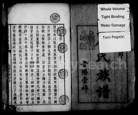 湖南唐氏族谱-晋阳唐氏重修族谱 [38卷].pdf电子版插图3