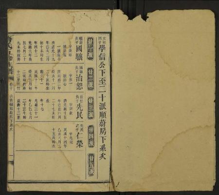 湖南唐氏族谱-唐氏五修族谱 [残卷].pdf电子版插图1