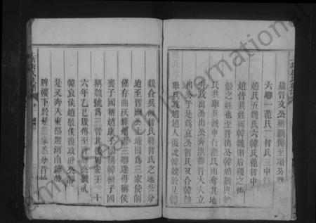 湖南唐氏族谱-上坊唐氏族谱.pdf电子版插图2