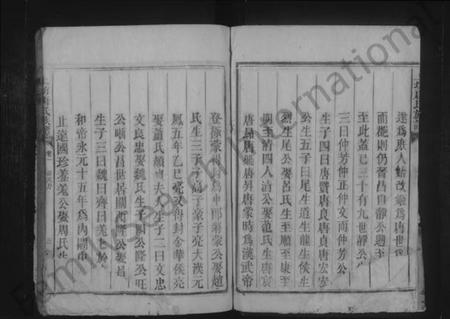 湖南唐氏族谱-上坊唐氏族谱.pdf电子版插图3