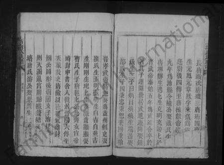 湖南唐氏族谱-上坊唐氏族谱.pdf电子版插图4